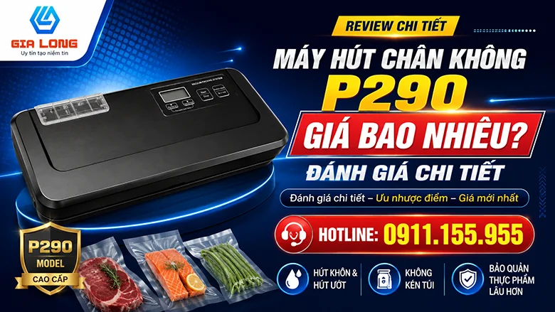 Máy hút chân không P290 giá bao nhiêu? Đánh giá chi tiết